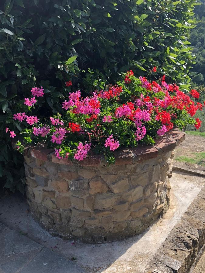 Agriturismo La Casella Castelfranco di Sopra Eksteriør bilde
